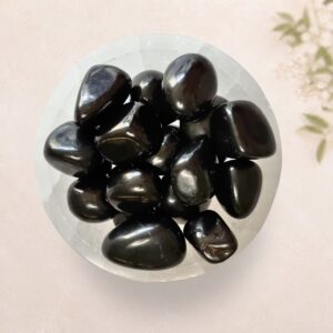 Shungite tumble stone for grounding, energetic protection and workspace support