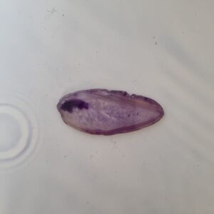 purple agate slice