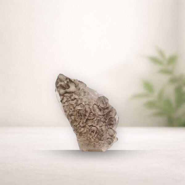 elestial-quartz-melbourne (1) Natural smokey elestial quartz crystal with layered formation for grounding and transformation